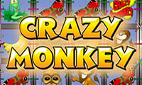 Crazy Monkey